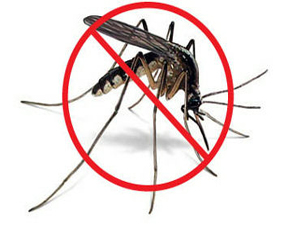traitement anti moustiques à casablanca