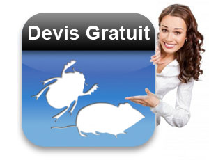 Devis gratuit de dératisation à Rabat Maroc